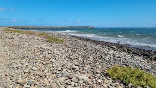 2024-03-Salinas_del_Matorral-08.jpg